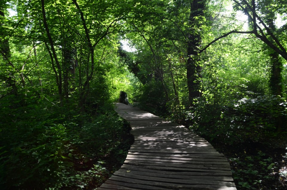 Kleiner SpreewaldPark Ausflugsziele Brandenburg • Ab