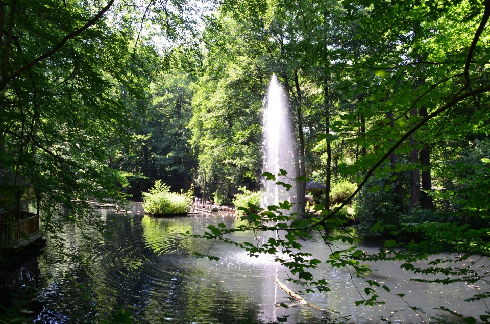 Zoo Eberswalde Ausflugsziele Brandenburg • Ab Ins Gruene